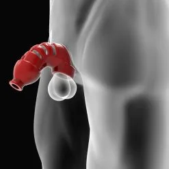 H?nkyjunk - Lockdown Chastity Device - Ice -Poppers Soldes Boutique hnkyjunk lockdown chastity device ice 2 1 8318