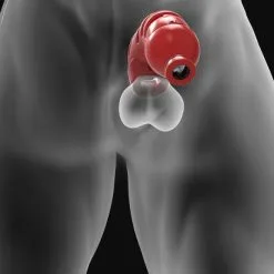 H?nkyjunk - Lockdown Chastity Device - Ice -Poppers Soldes Boutique hnkyjunk lockdown chastity device ice 3 1 8318